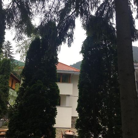 Manyi Villa BaileTusnad Extérieur photo