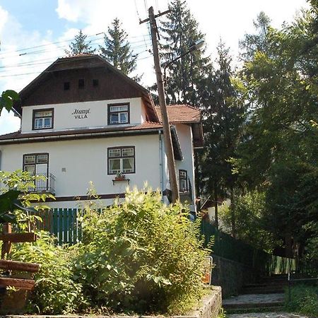 Manyi Villa BaileTusnad Extérieur photo