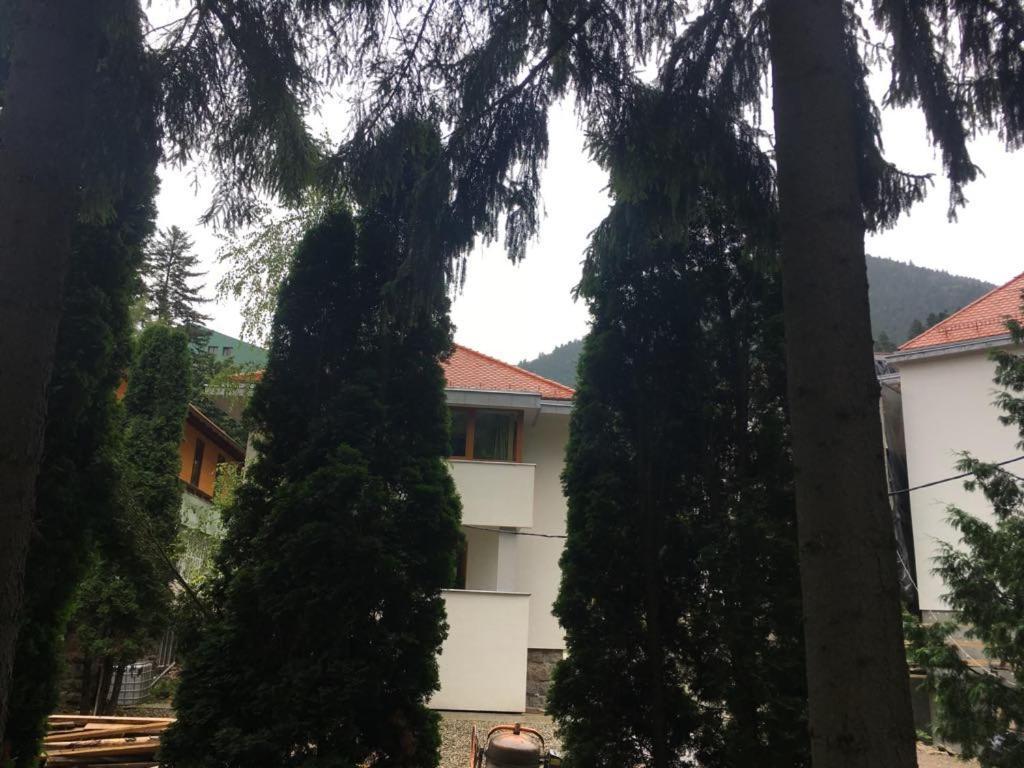 Manyi Villa BaileTusnad Extérieur photo