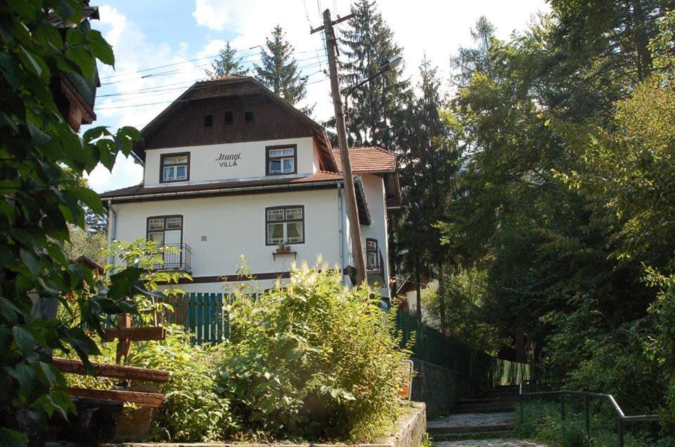 Manyi Villa BaileTusnad Extérieur photo