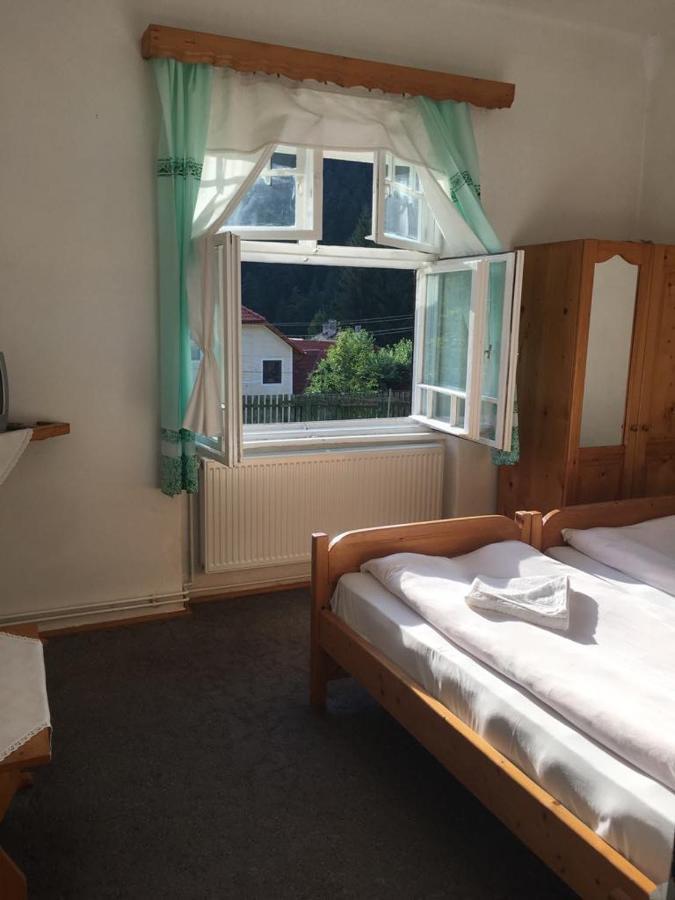 Manyi Villa BaileTusnad Extérieur photo