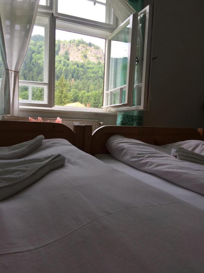 Manyi Villa BaileTusnad Extérieur photo