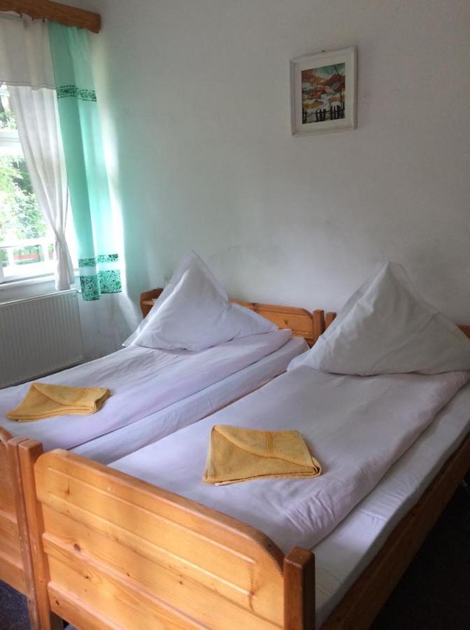 Manyi Villa BaileTusnad Extérieur photo