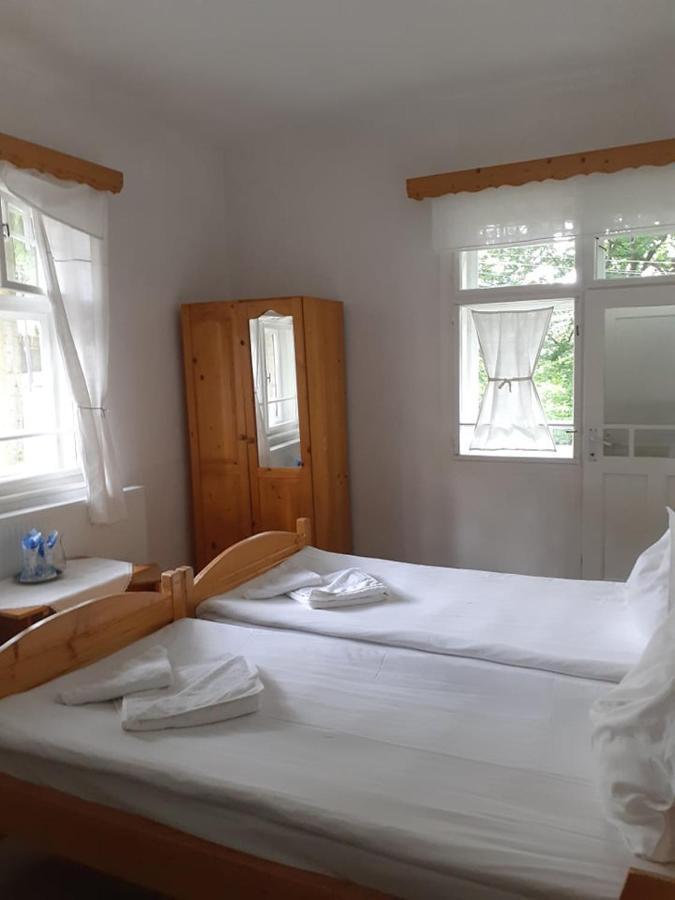Manyi Villa BaileTusnad Extérieur photo