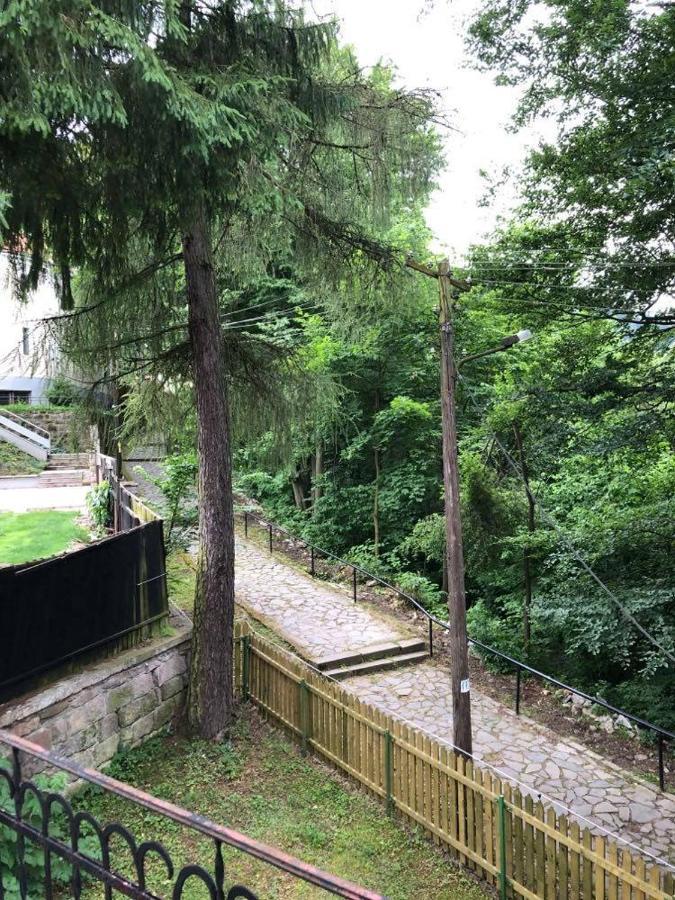 Manyi Villa BaileTusnad Extérieur photo