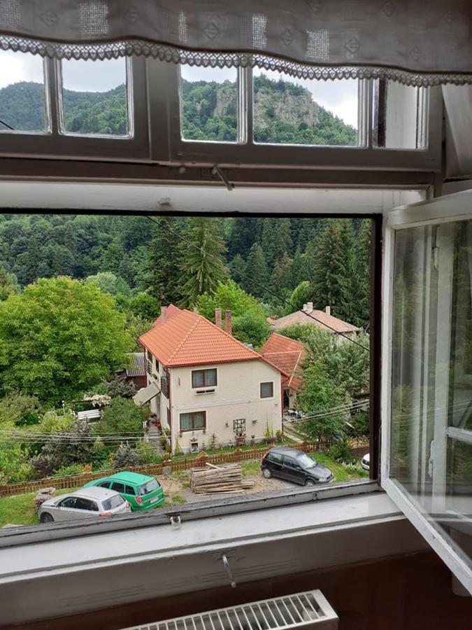 Manyi Villa BaileTusnad Extérieur photo