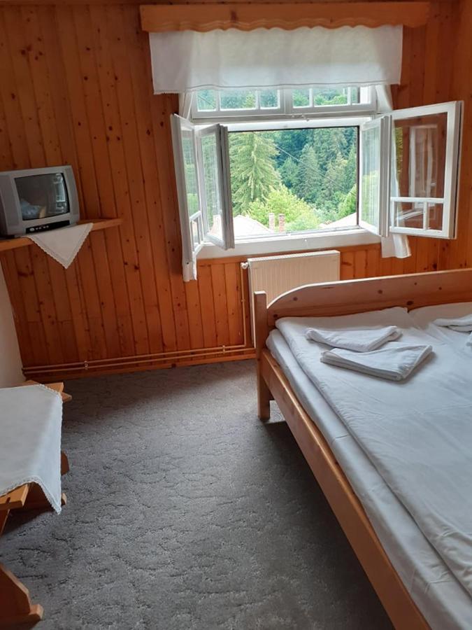 Manyi Villa BaileTusnad Extérieur photo